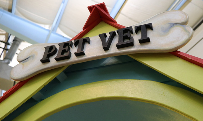 Pet Vet Exhibit at The Discovery Center of the Southern Tier